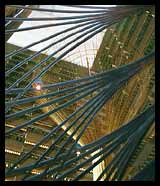 Hyatt Lobby View