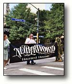 Netherworld: A Haunted House