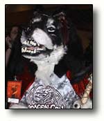 Werewolf